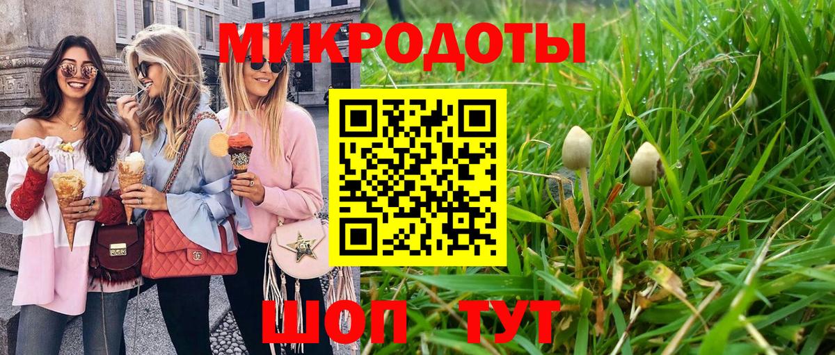 Псилоцибиновые грибы Psilocybe Знаменск